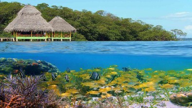 Bocas-Del-Toro