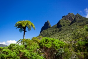 la Réunion