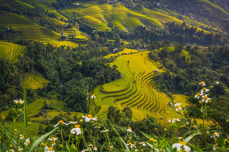 Chine
