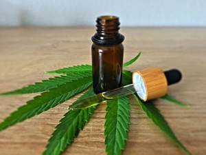 cbd oil