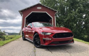 ford mustang5