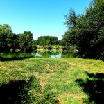 Séjour en Maine et Loire : quel type de gîte choisir ?