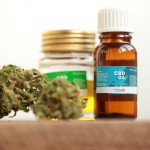 Quel est l’essentiel à savoir sur l’huile de CBD ?
