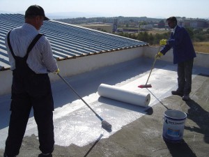 La toiture est le premier élément de la maison à subir les conséquences des intempéries, des changements de saisons et les différentes pollutions