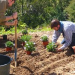 Avez-vous besoin d’engager un jardinier?