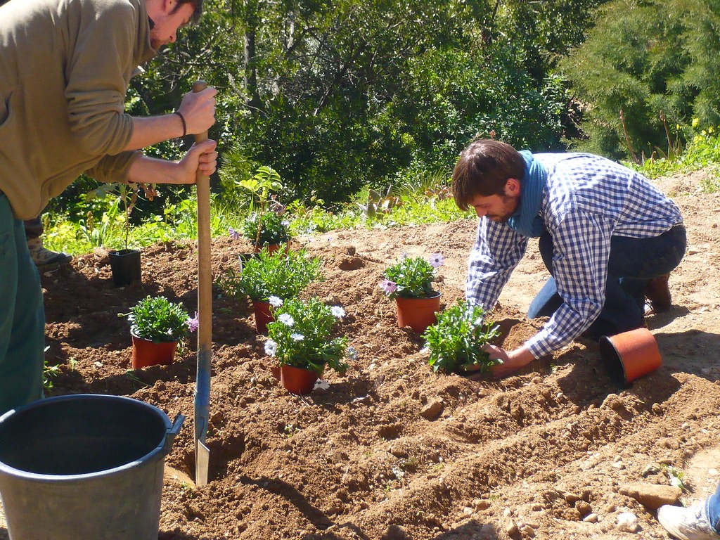 Avez-vous besoin d’engager un jardinier?