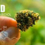 CBD