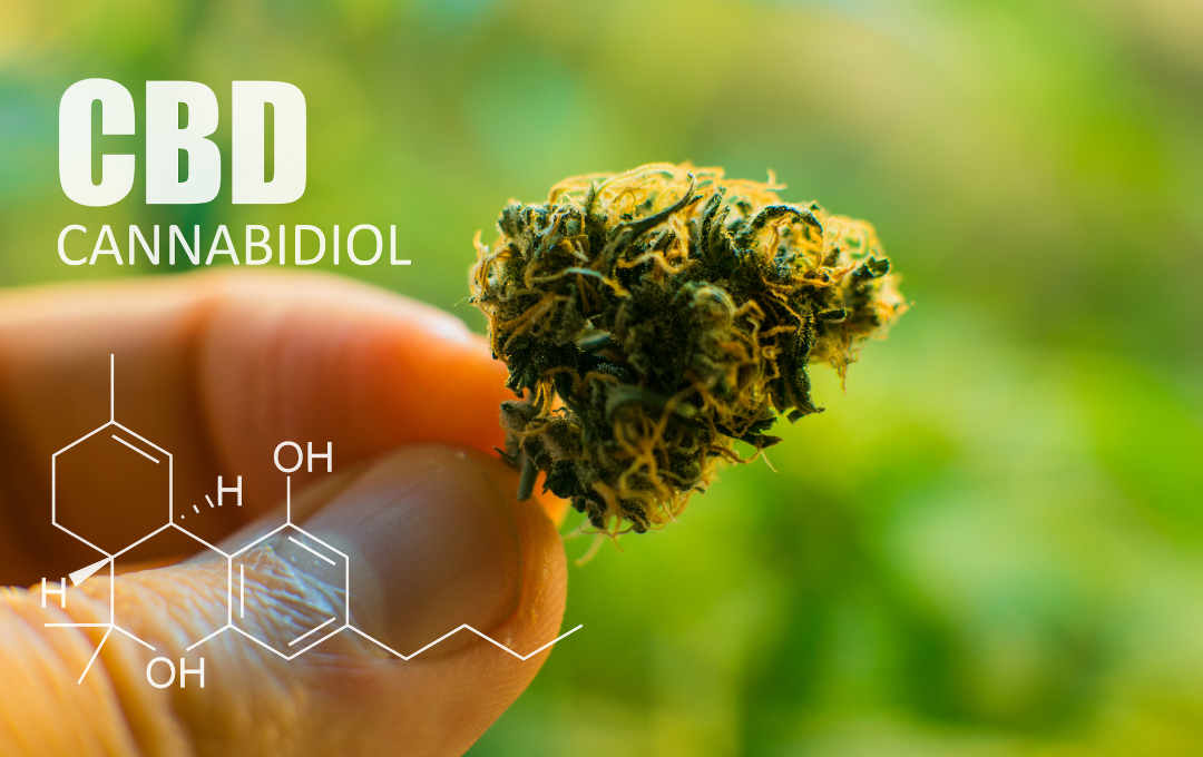 CBD