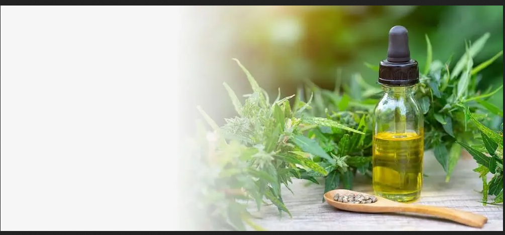 consommation du cannabidiol