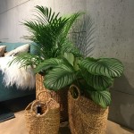 Rénover son salon avec une ambiance zen
