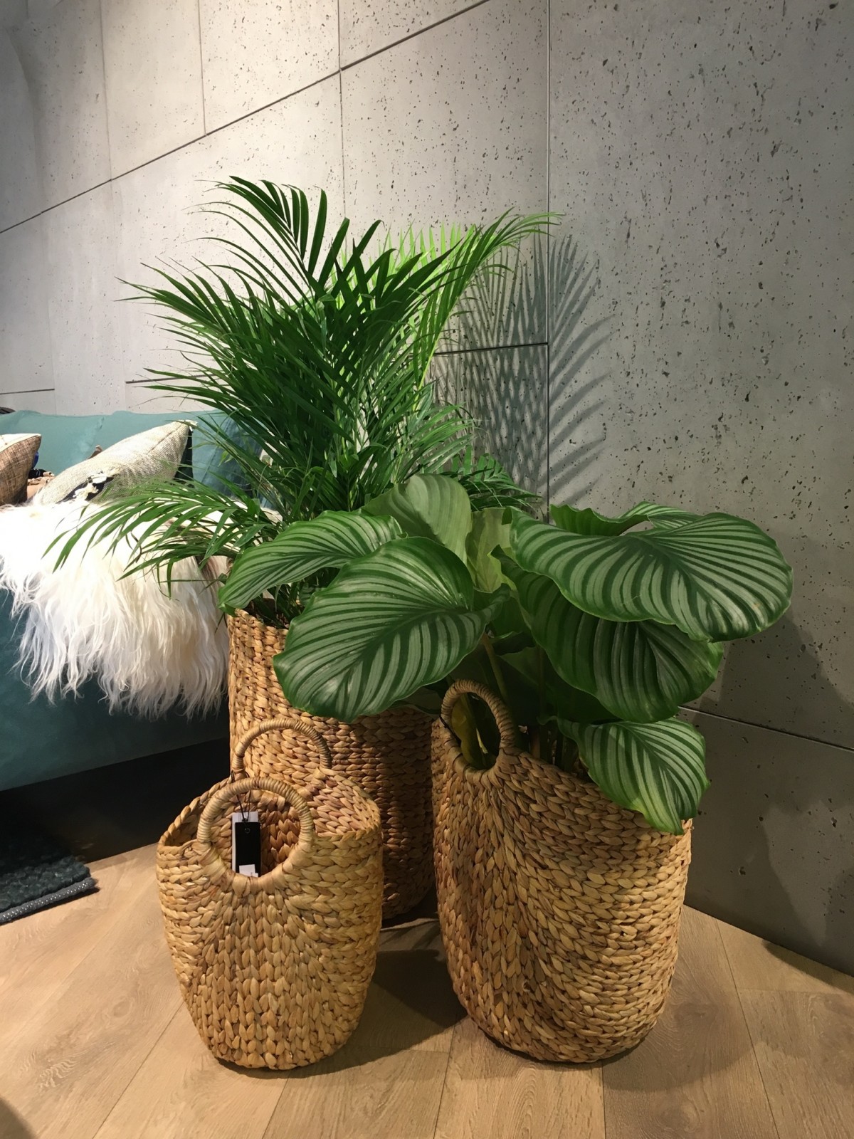 Rénover son salon avec une ambiance zen
