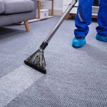 Nettoyage de tapis : pourquoi faire appel à une entreprise de tapis?