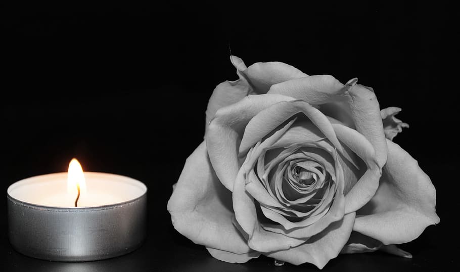 Miser sur des fleurs pour soutenir des personnes endeuillées